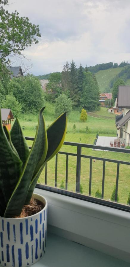 Pokoje Goscinne Przeklasa Pawel ซาโกปาเน ภายนอก รูปภาพ